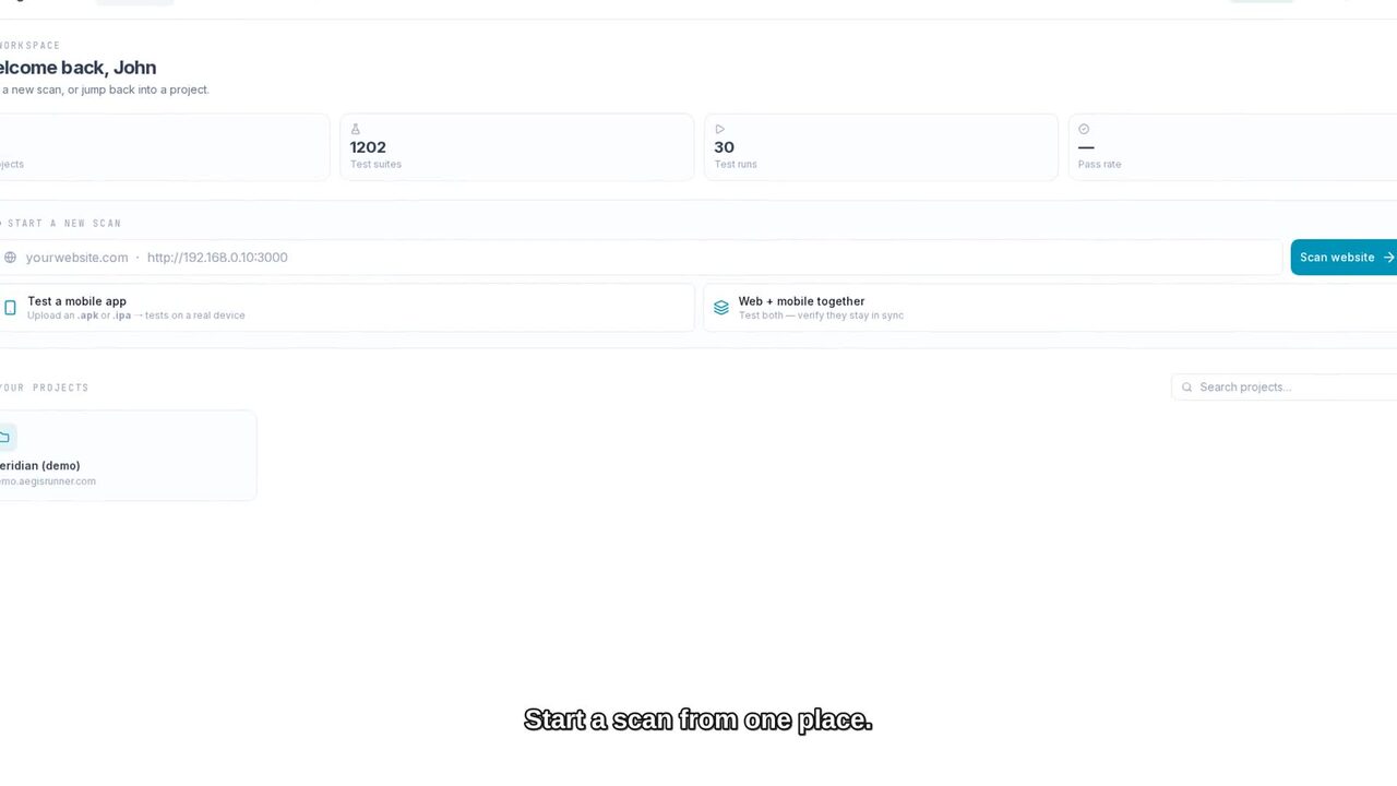 AegisRunner web testing workspace